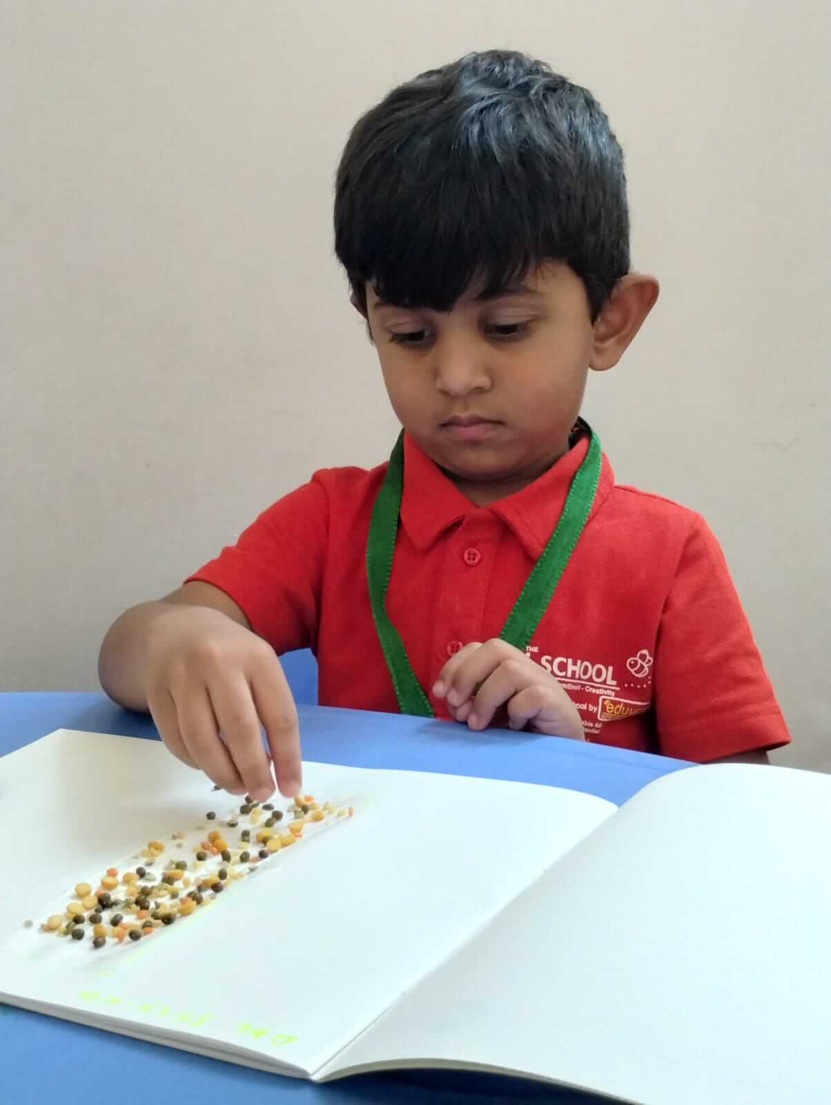 Play School Vivekananda Nagar, Rupaidiha
